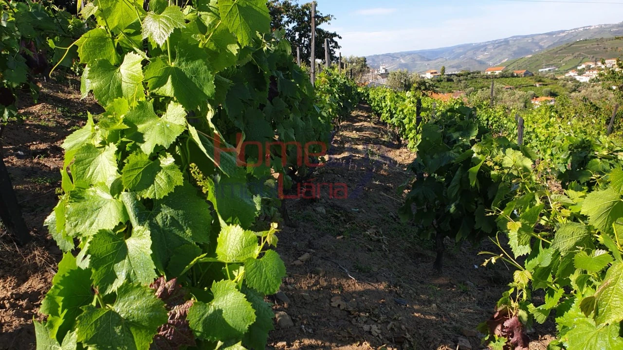Terreno para Venda em Cambres Foto 10