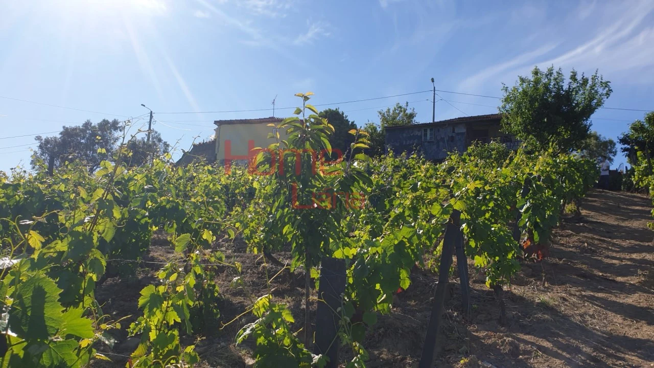 Terreno para Venda em Cambres Foto 12