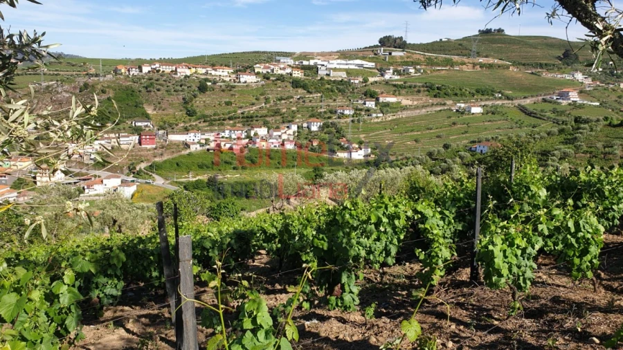 Terreno para Venda em Cambres Foto 2