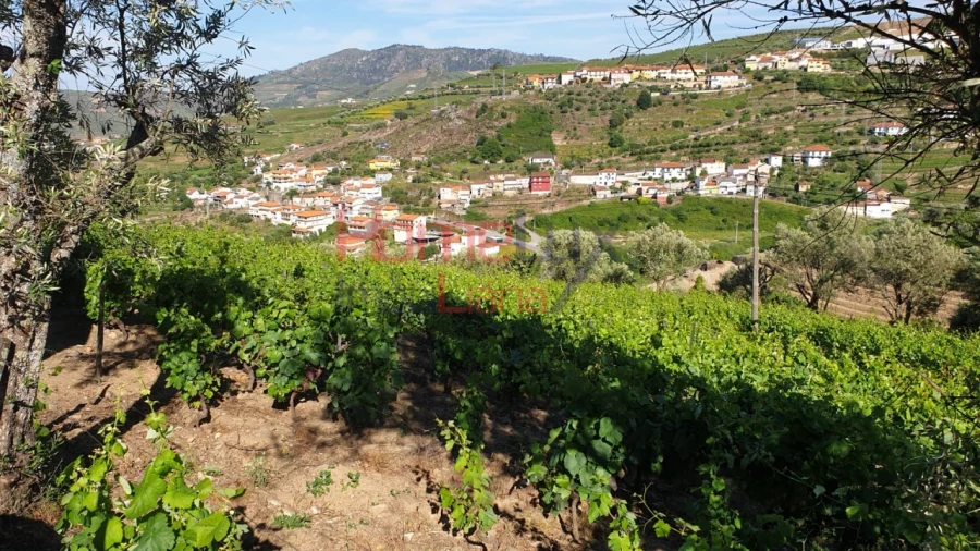 Terreno para Venda em Cambres Foto 7
