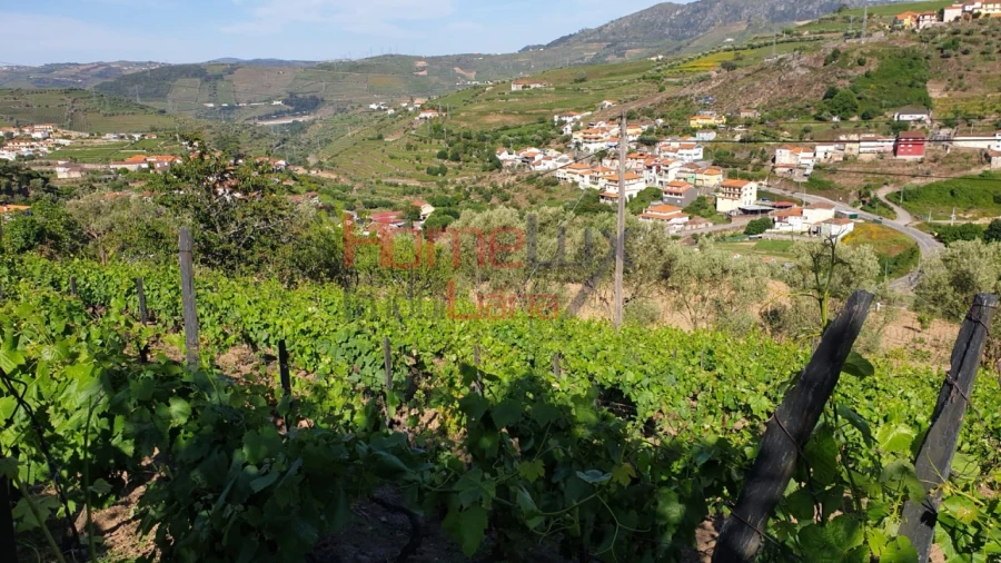 Terreno para Venda em Cambres Foto 14