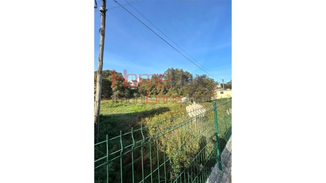 Terreno para Venda em Vila de Cucujães Foto 6