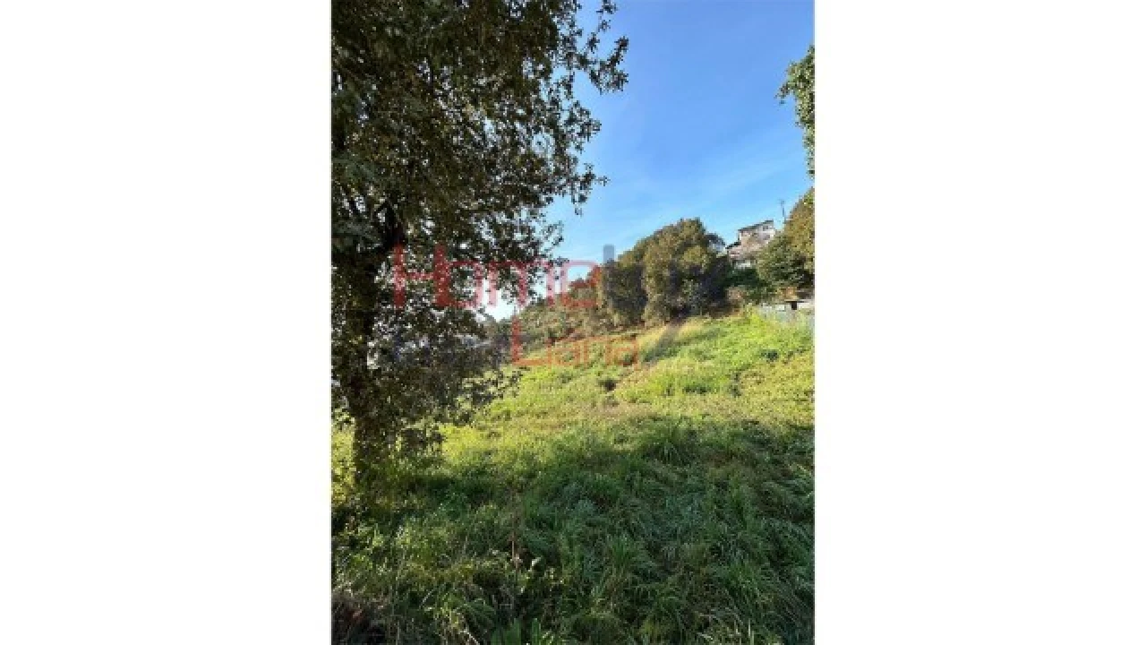 Terreno para Venda em Vila de Cucujães Foto 7