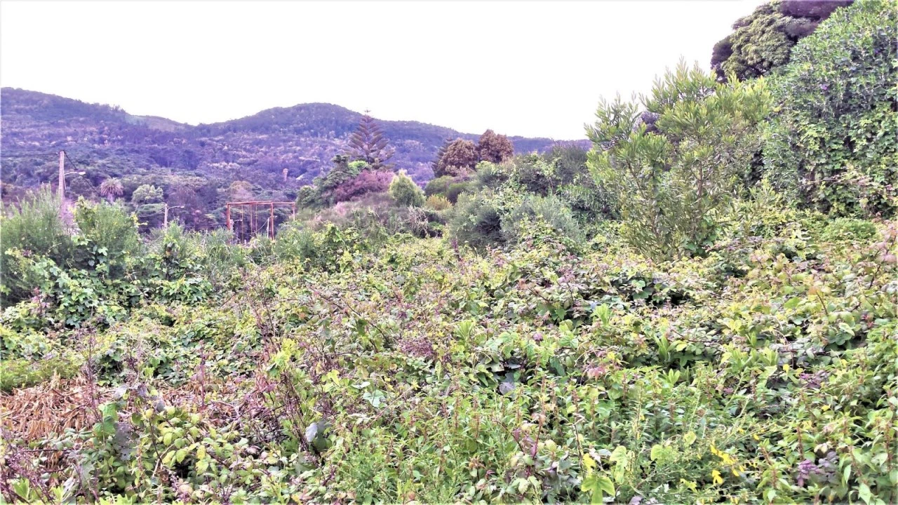 Terreno para Venda em Alcabideche Foto 4