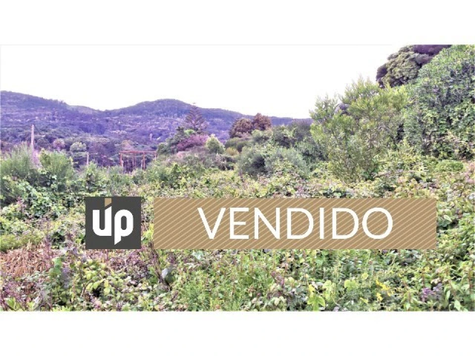 Terreno para Venda em Cascais e Estoril Foto 1