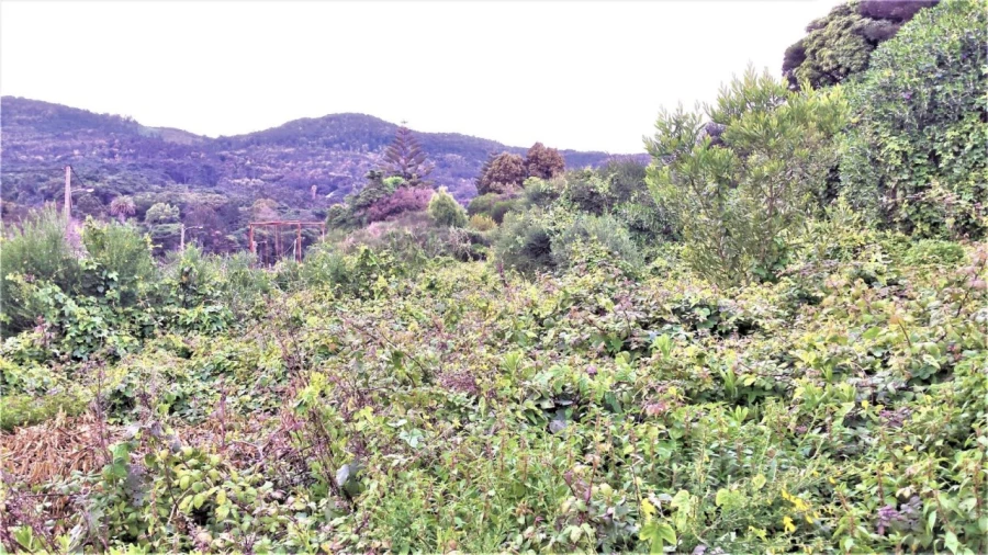 Terreno para Venda em Alcabideche Foto 4