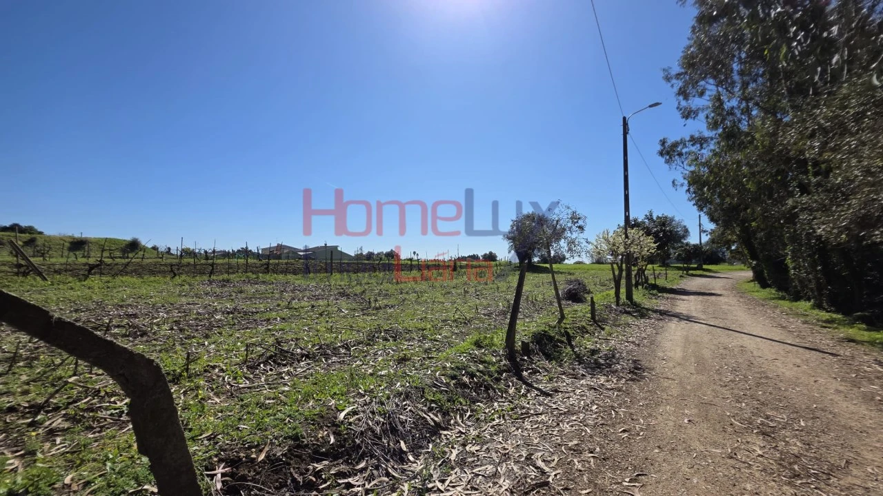 Terreno para Venda em Travassô e Óis da Ribeira Foto 5