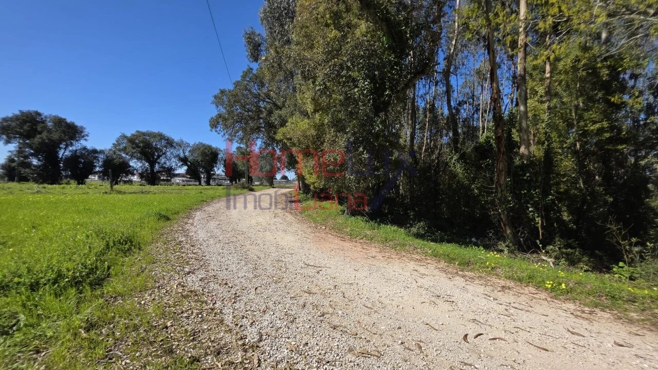 Terreno para Venda em Travassô e Óis da Ribeira Foto 6