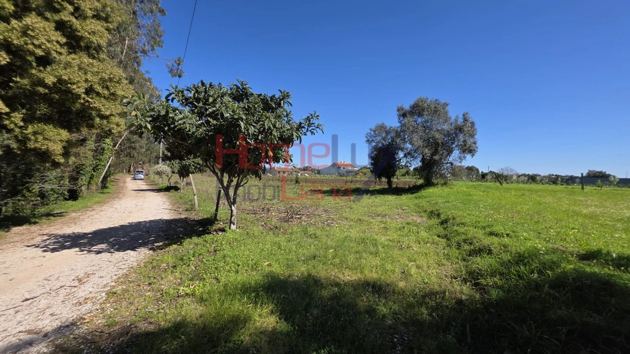 Terreno para Venda em Travassô e Óis da Ribeira Foto 7