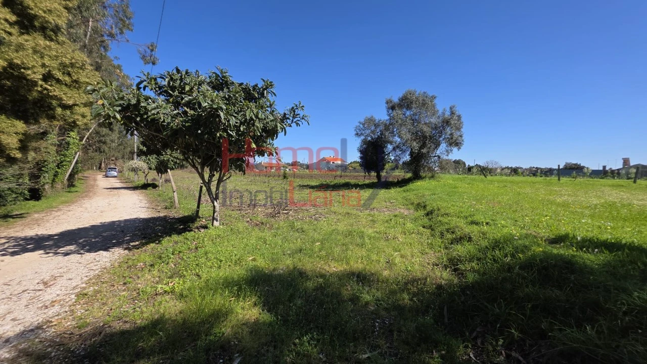 Terreno para Venda em Travassô e Óis da Ribeira Foto 8