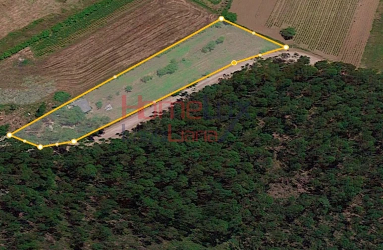 Terreno para Venda em Travassô e Óis da Ribeira Foto 4