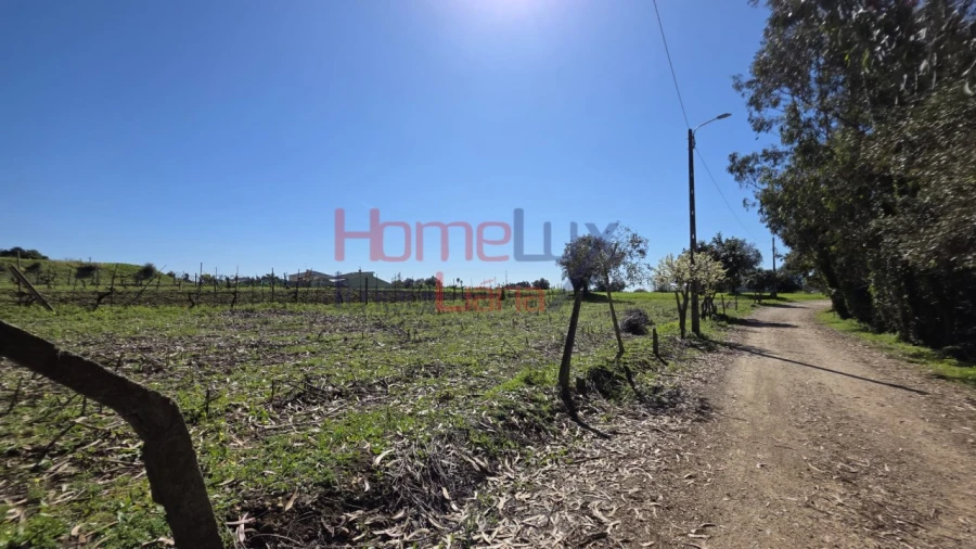 Terreno para Venda em Travassô e Óis da Ribeira Foto 5