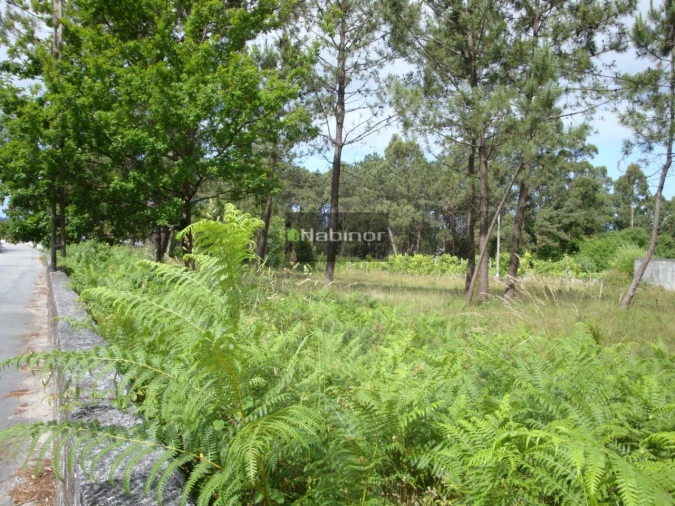 Terreno para Venda em Mazarefes e Vila Fria Foto 2