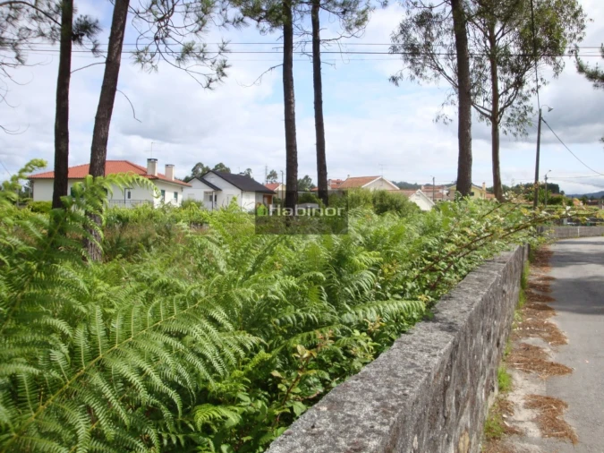 Terreno para Venda em Mazarefes e Vila Fria Foto 3