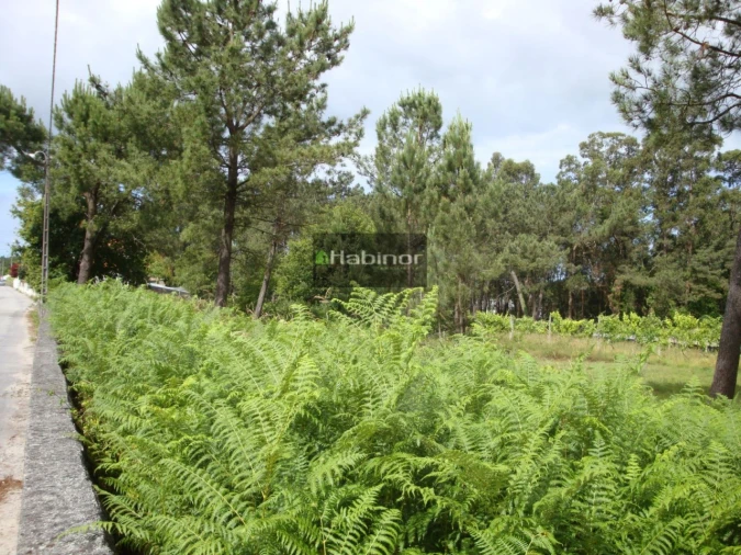Terreno para Venda em Mazarefes e Vila Fria Foto 4
