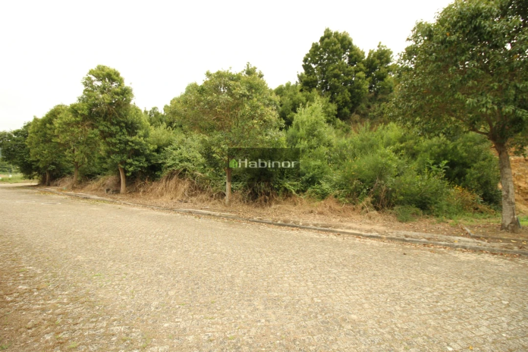 Terreno para Venda em Venade e Azevedo Foto 5
