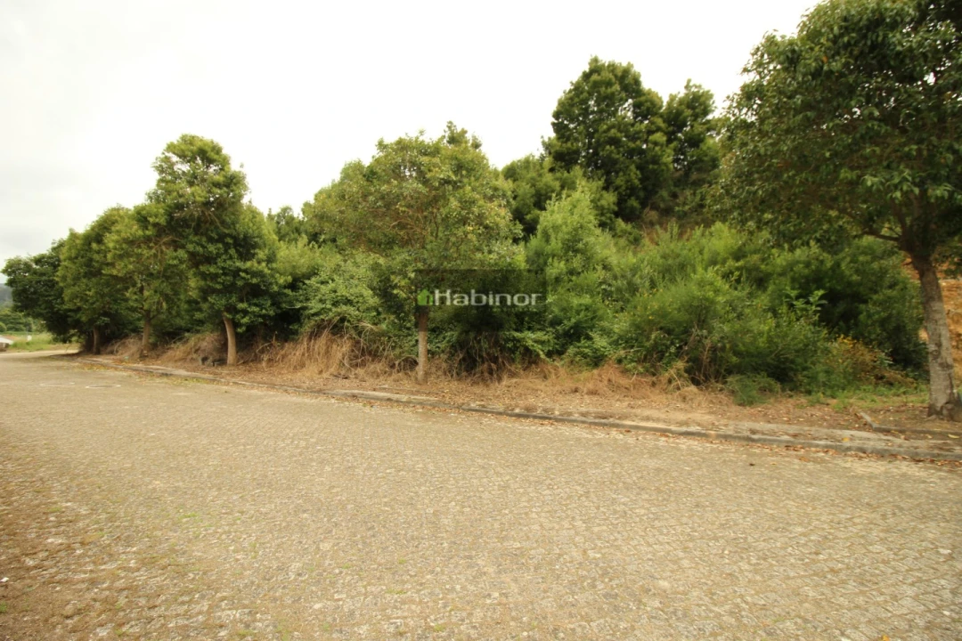 Terreno para Venda em Venade e Azevedo Foto 6