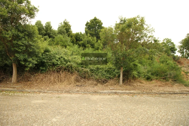 Terreno para Venda em Venade e Azevedo Foto 3
