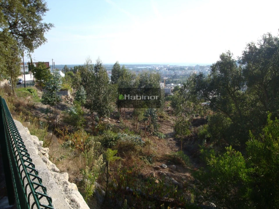 Terreno para Venda em Santa Maria Maior e Monserrate e Meadela Foto 4