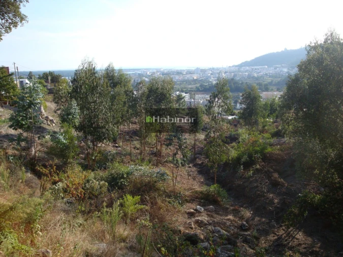 Terreno para Venda em Santa Maria Maior e Monserrate e Meadela Foto 1