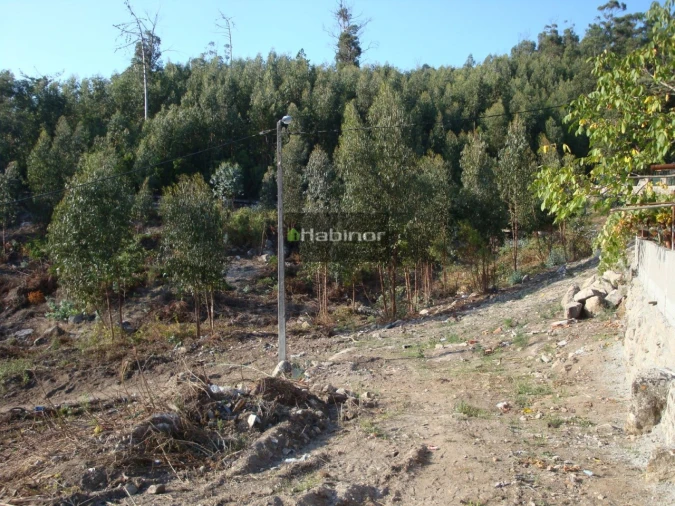 Terreno para Venda em Santa Maria Maior e Monserrate e Meadela Foto 2
