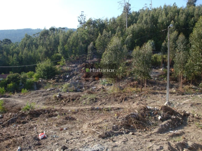 Terreno para Venda em Santa Maria Maior e Monserrate e Meadela Foto 3