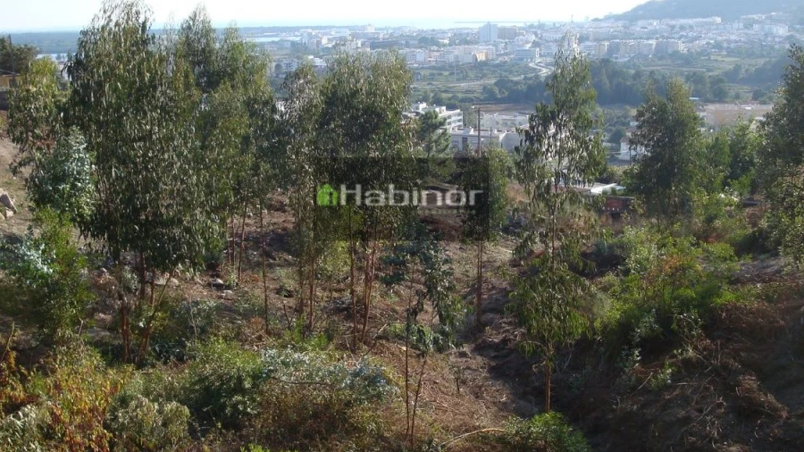Terreno para Venda em Santa Maria Maior e Monserrate e Meadela