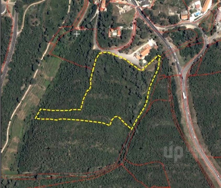 Terreno para Venda em Cascais e Estoril Foto 16