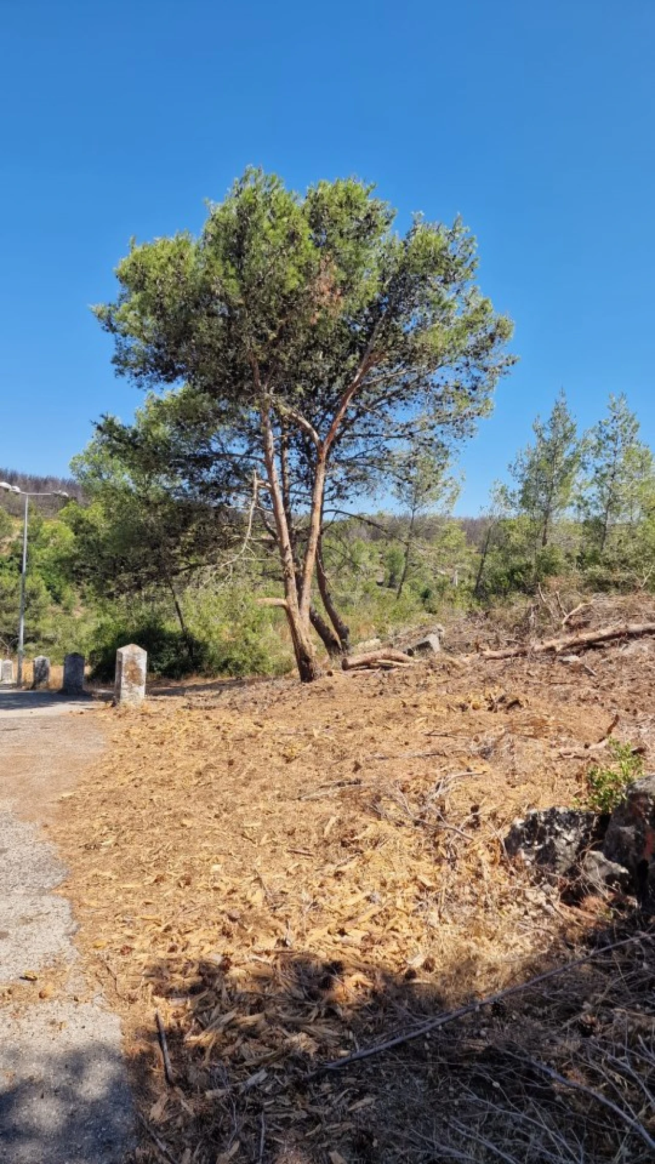 Terreno para Venda em Cascais e Estoril Foto 10