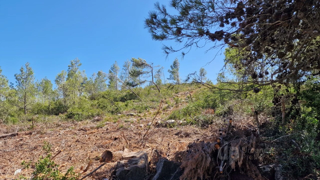 Terreno para Venda em Cascais e Estoril Foto 6