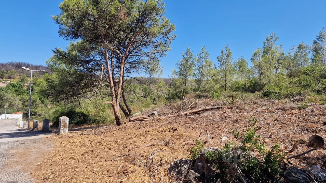 Terreno para Venda em Cascais e Estoril Foto 1