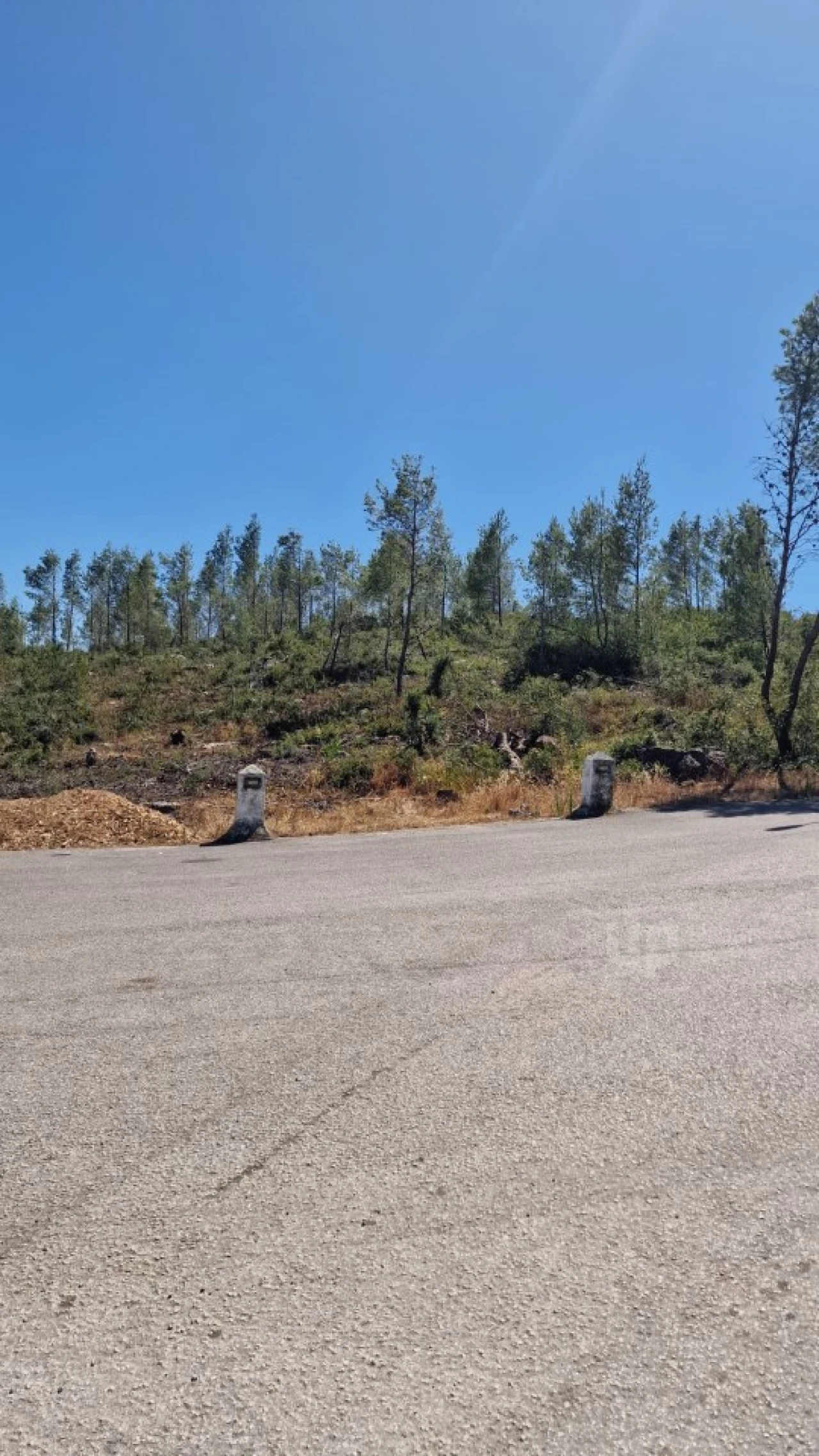 Terreno para Venda em Cascais e Estoril Foto 14