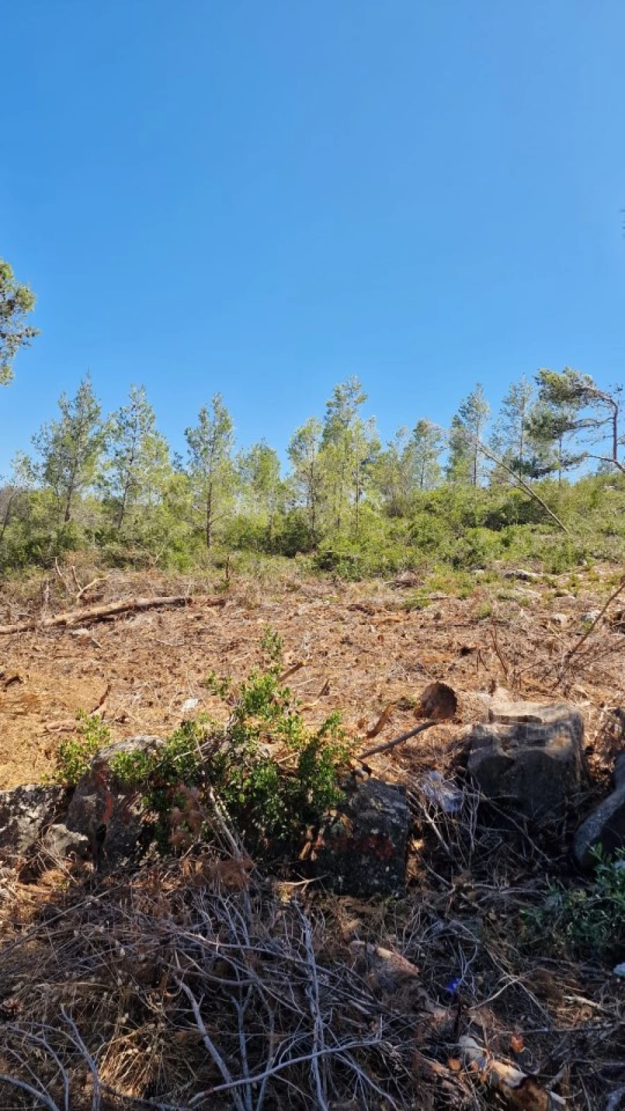 Terreno para Venda em Cascais e Estoril Foto 12