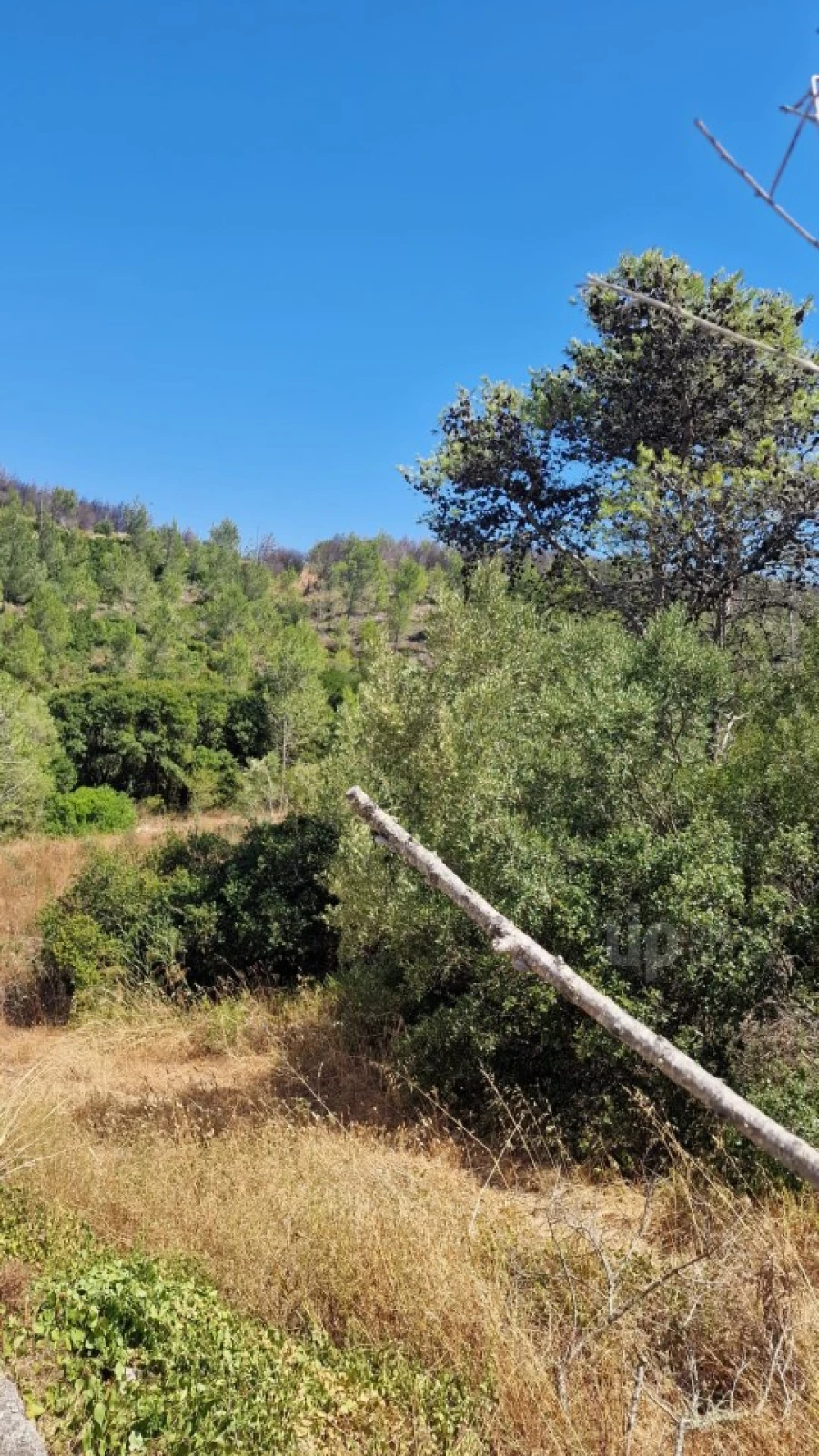 Terreno para Venda em Cascais e Estoril Foto 13