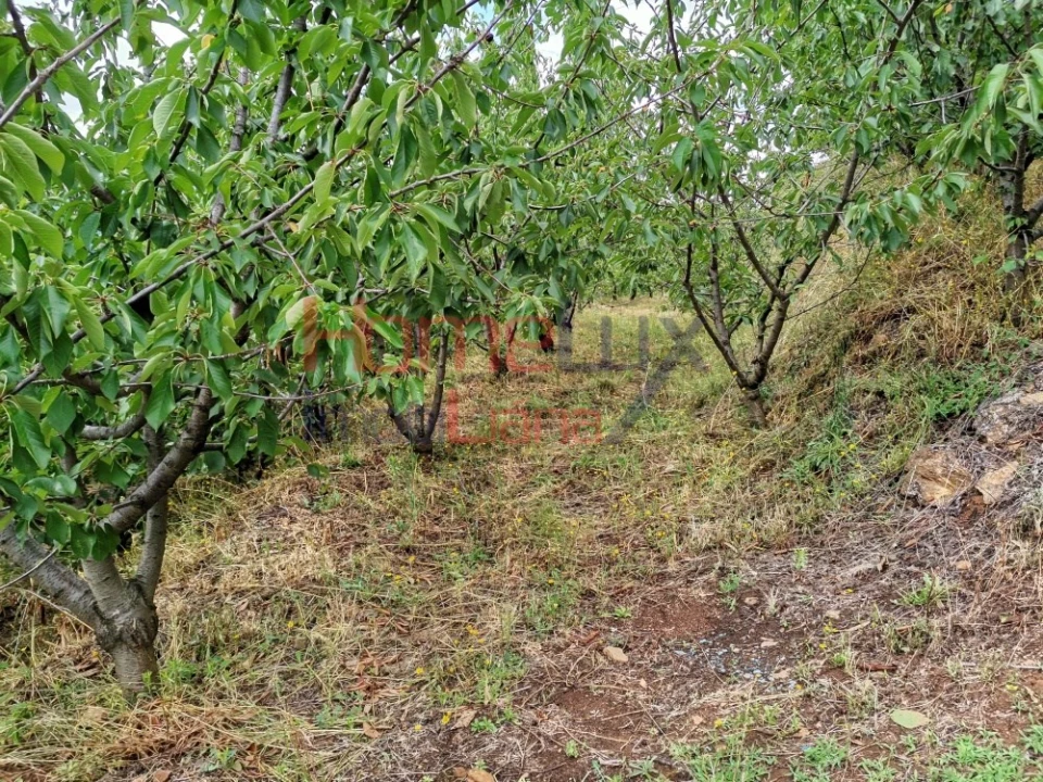 Terreno para Venda em Barro Foto 4