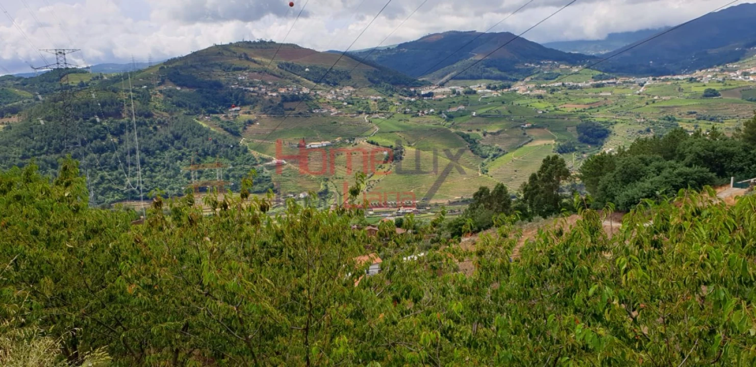 Terreno para Venda em Barro Foto 5