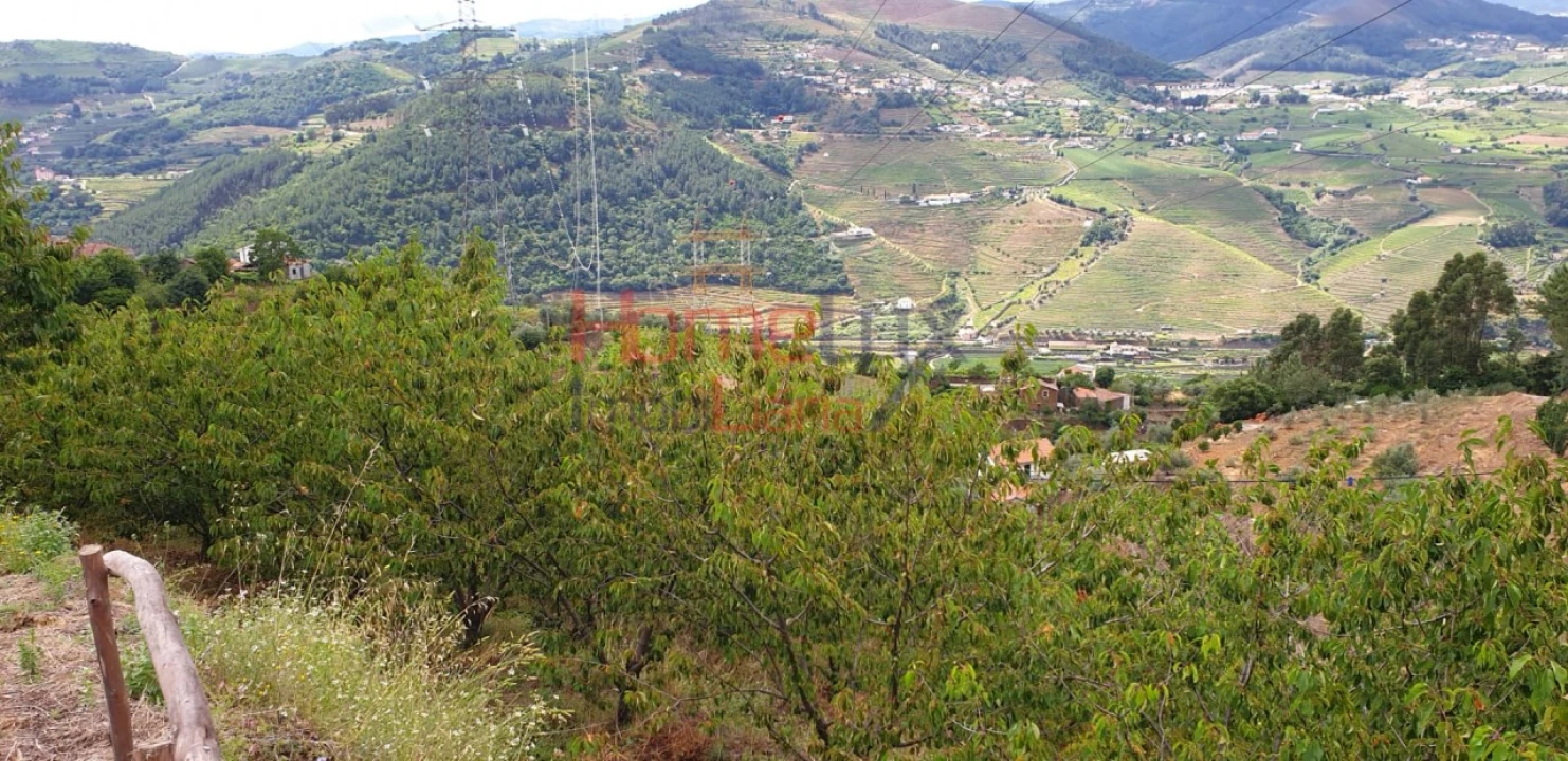 Terreno para Venda em Barro Foto 6
