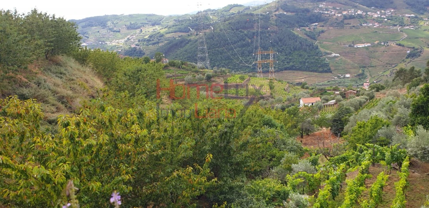 Terreno para Venda em Barro Foto 9