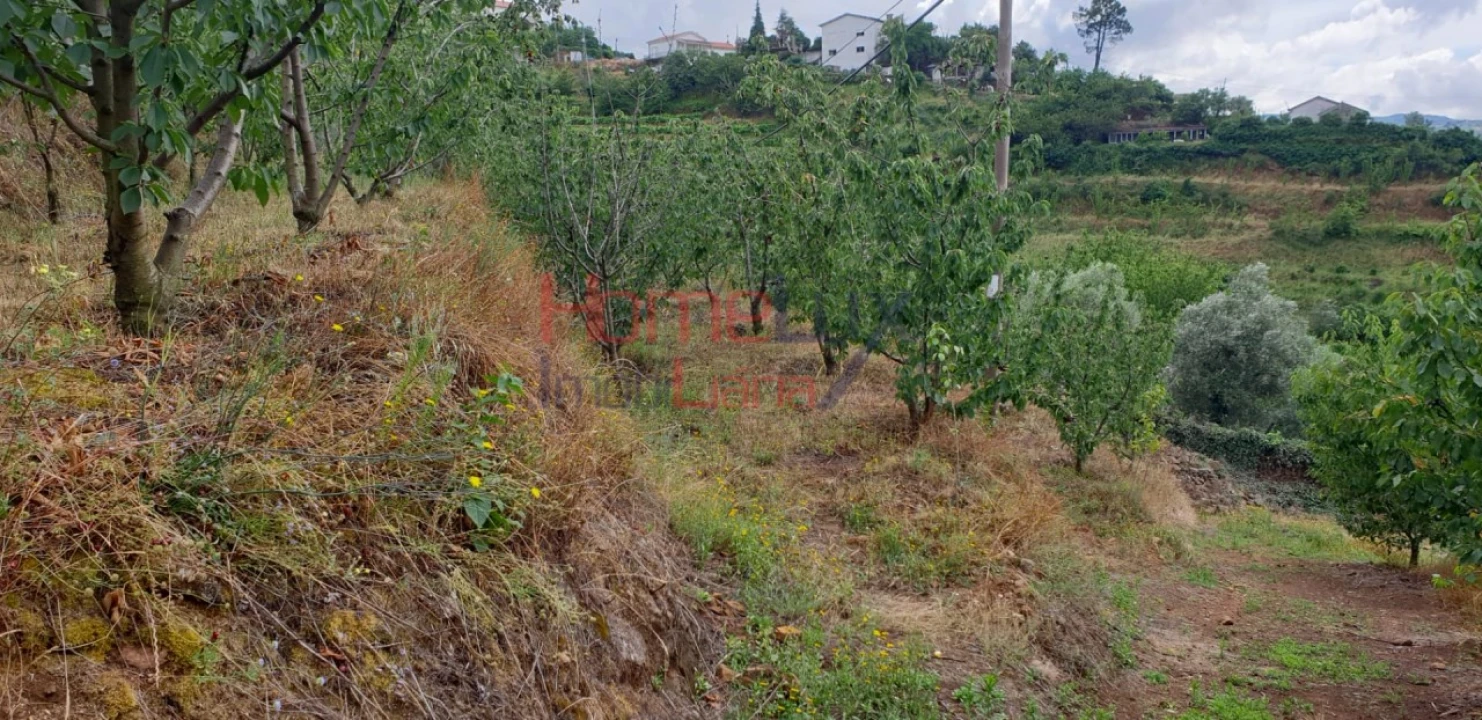 Terreno para Venda em Barro Foto 11