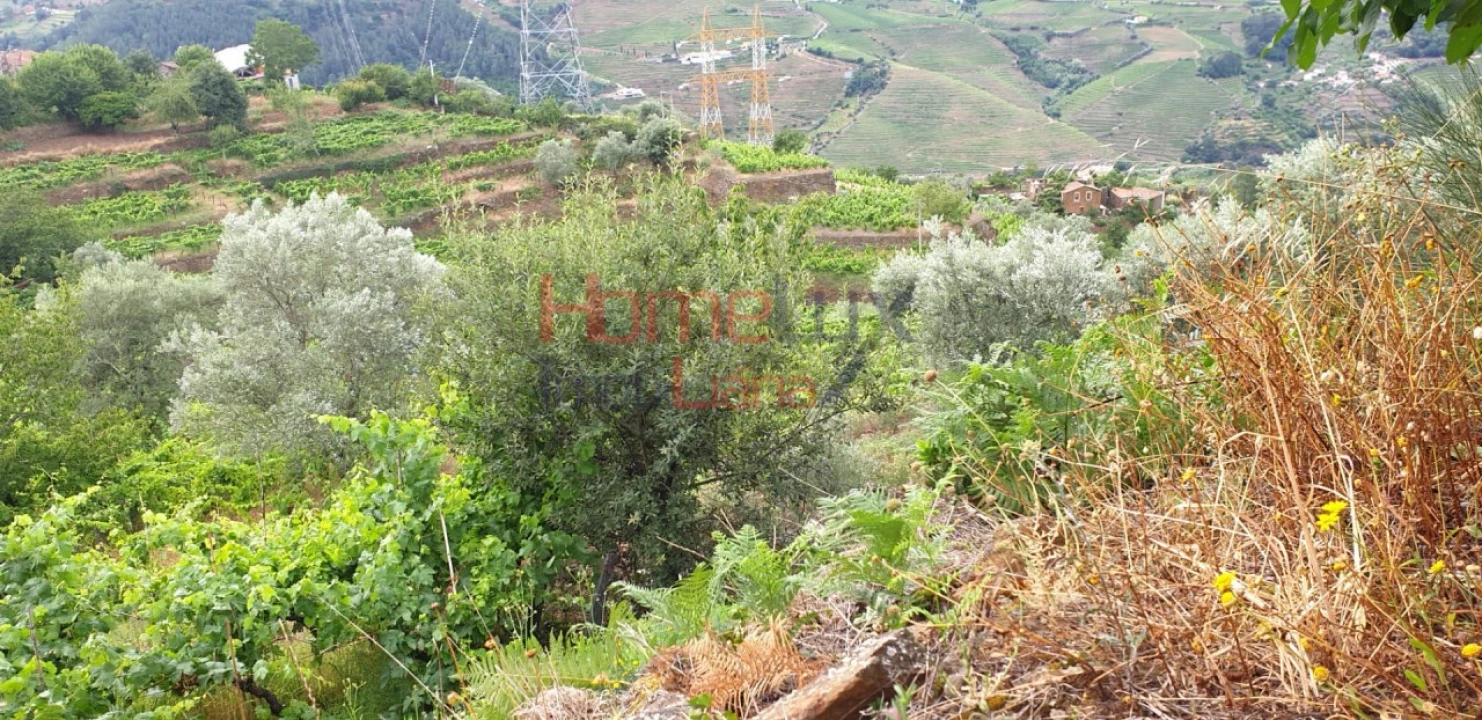 Terreno para Venda em Barro Foto 15