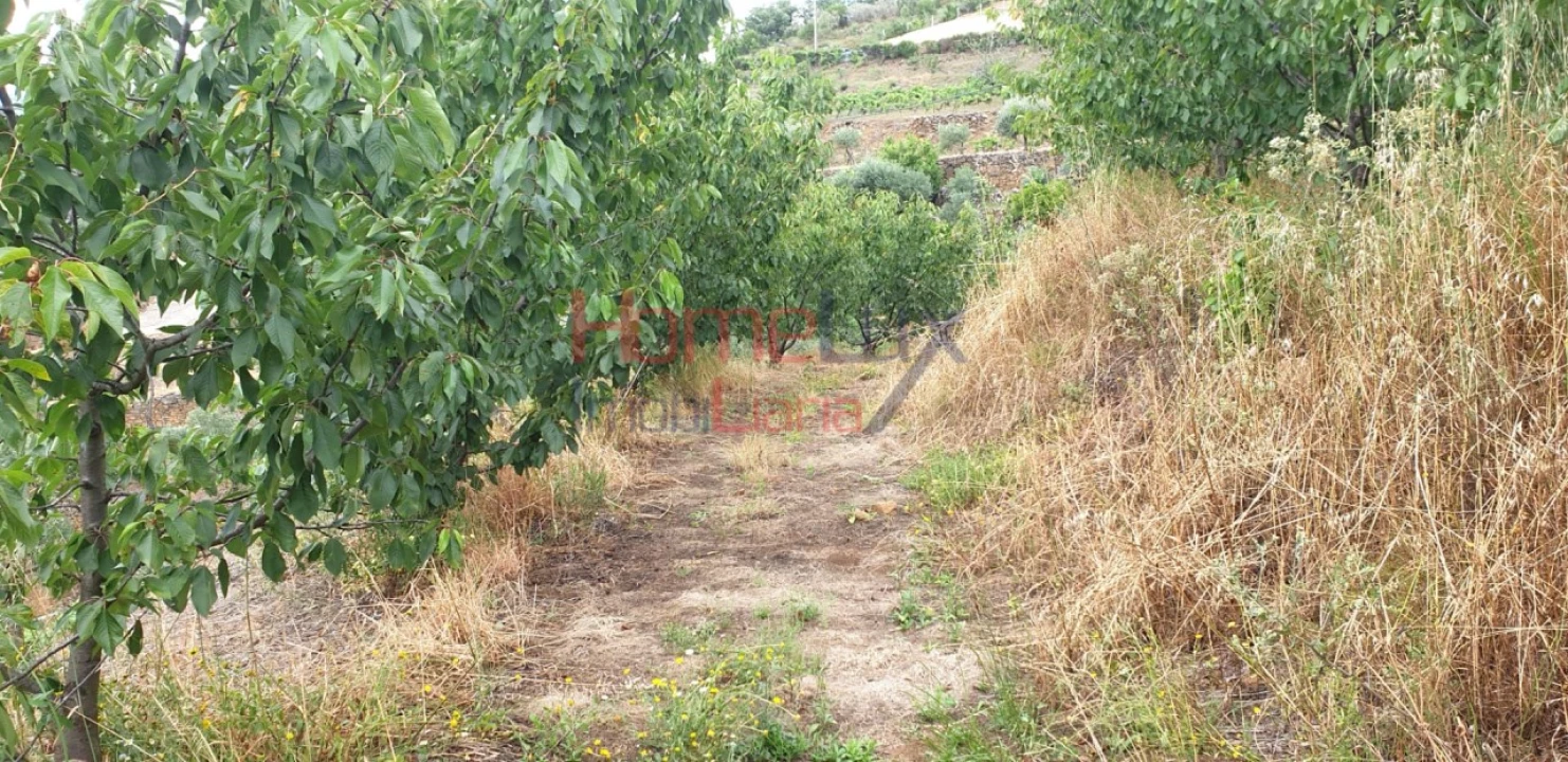 Terreno para Venda em Barro Foto 17