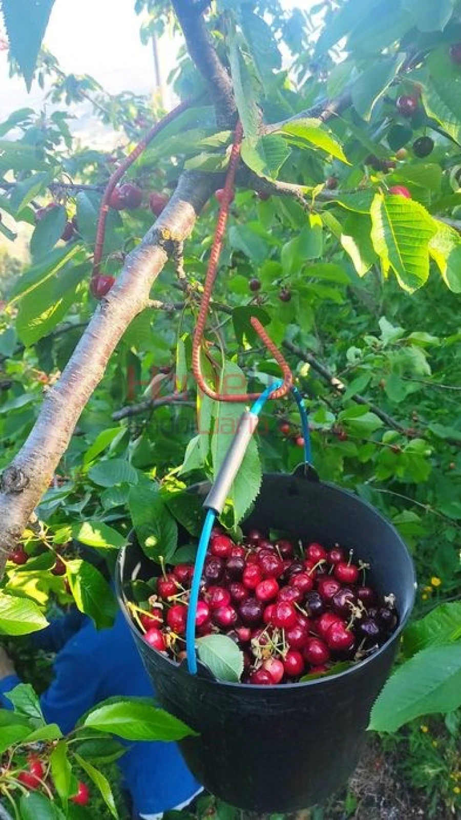 Terreno para Venda em Barro Foto 2