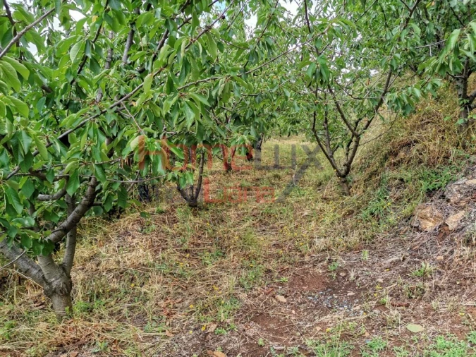 Terreno para Venda em Barro Foto 4