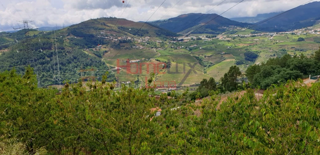 Terreno para Venda em Barro Foto 5