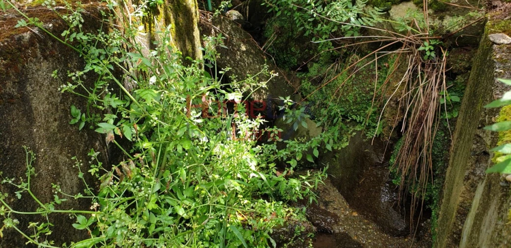 Terreno para Venda em Barro Foto 7
