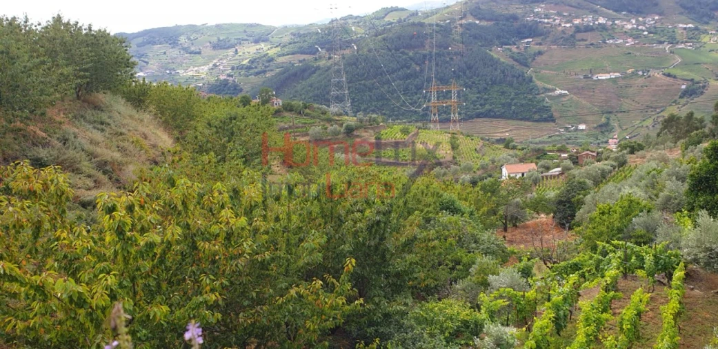 Terreno para Venda em Barro Foto 9