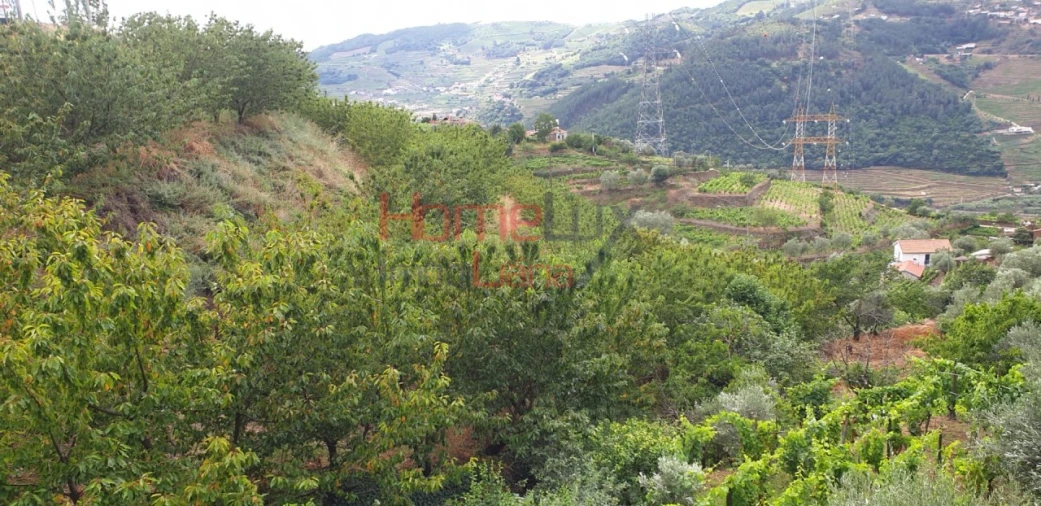 Terreno para Venda em Barro Foto 10