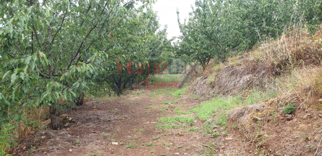 Terreno para Venda em Barro Foto 12
