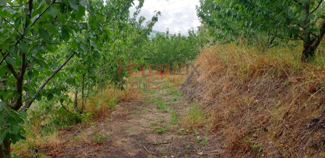 Terreno para Venda em Barro Foto 13