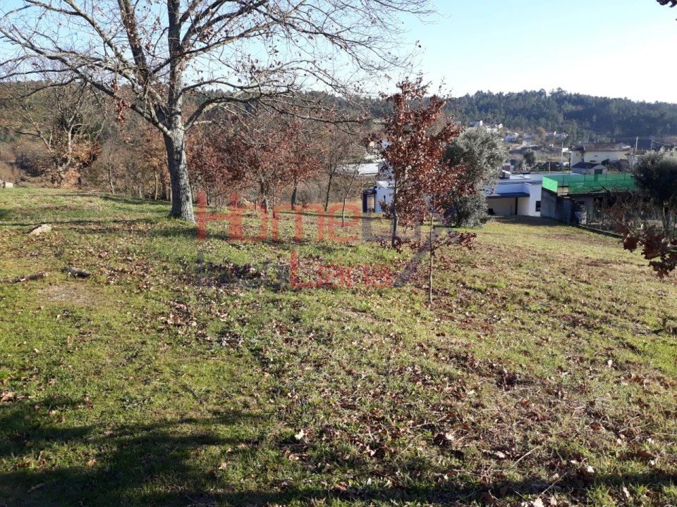 Terreno para Venda em Pindelo dos Milagres Foto 3